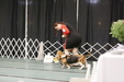 Enlarge photo 38