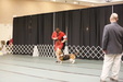 Enlarge photo 36