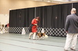 Enlarge photo 35