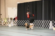 Enlarge photo 34