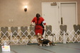 Enlarge photo 29