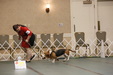 Enlarge photo 26