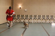 Enlarge photo 21