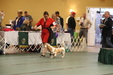 Enlarge photo 53