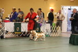 Enlarge photo 52