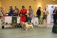 Enlarge photo 51
