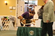 Enlarge photo 73