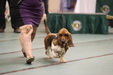 Enlarge photo 46