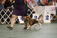 Enlarge photo 39