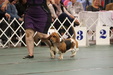 Enlarge photo 37