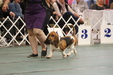 Enlarge photo 36