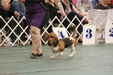 Enlarge photo 35
