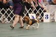 Enlarge photo 34