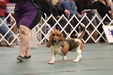 Enlarge photo 32