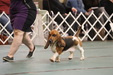 Enlarge photo 30