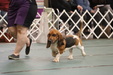 Enlarge photo 29