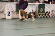 Enlarge photo 169