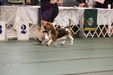 Enlarge photo 168