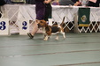 Enlarge photo 167