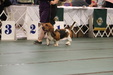 Enlarge photo 166