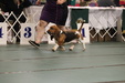 Enlarge photo 163
