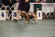 Enlarge photo 162