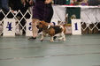 Enlarge photo 161