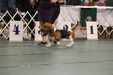Enlarge photo 160