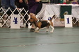 Enlarge photo 159