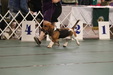 Enlarge photo 156