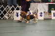Enlarge photo 158