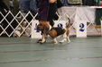 Enlarge photo 157