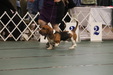 Enlarge photo 155