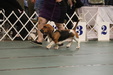 Enlarge photo 154