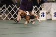 Enlarge photo 153