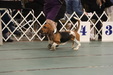 Enlarge photo 150