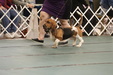 Enlarge photo 149