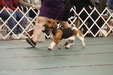 Enlarge photo 148