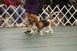 Enlarge photo 146