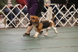 Enlarge photo 143