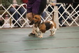 Enlarge photo 142