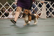 Enlarge photo 140