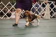 Enlarge photo 139