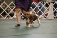 Enlarge photo 138