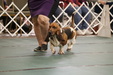 Enlarge photo 137