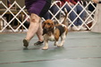 Enlarge photo 136