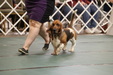 Enlarge photo 135