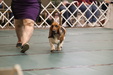 Enlarge photo 132