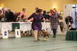 Enlarge photo 112