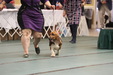 Enlarge photo 110